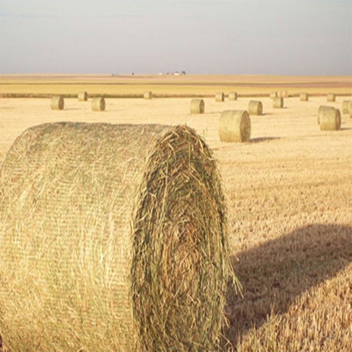 I-HDPE Biodegradable Bale Wrap Net for Agriculture